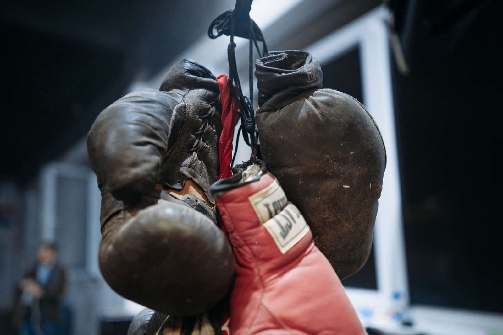 Cómo apostar en boxeo, la guía completa